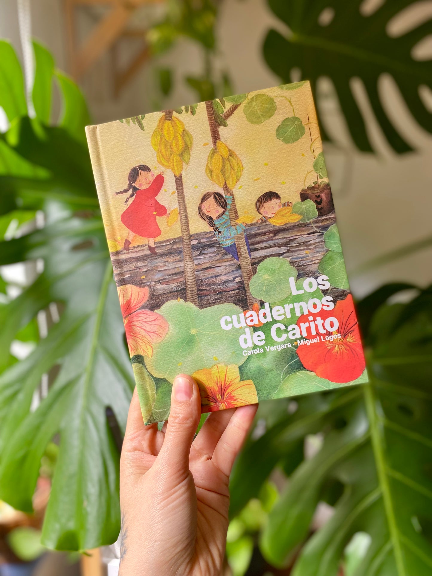 Libro Los Cuadernos de Carito