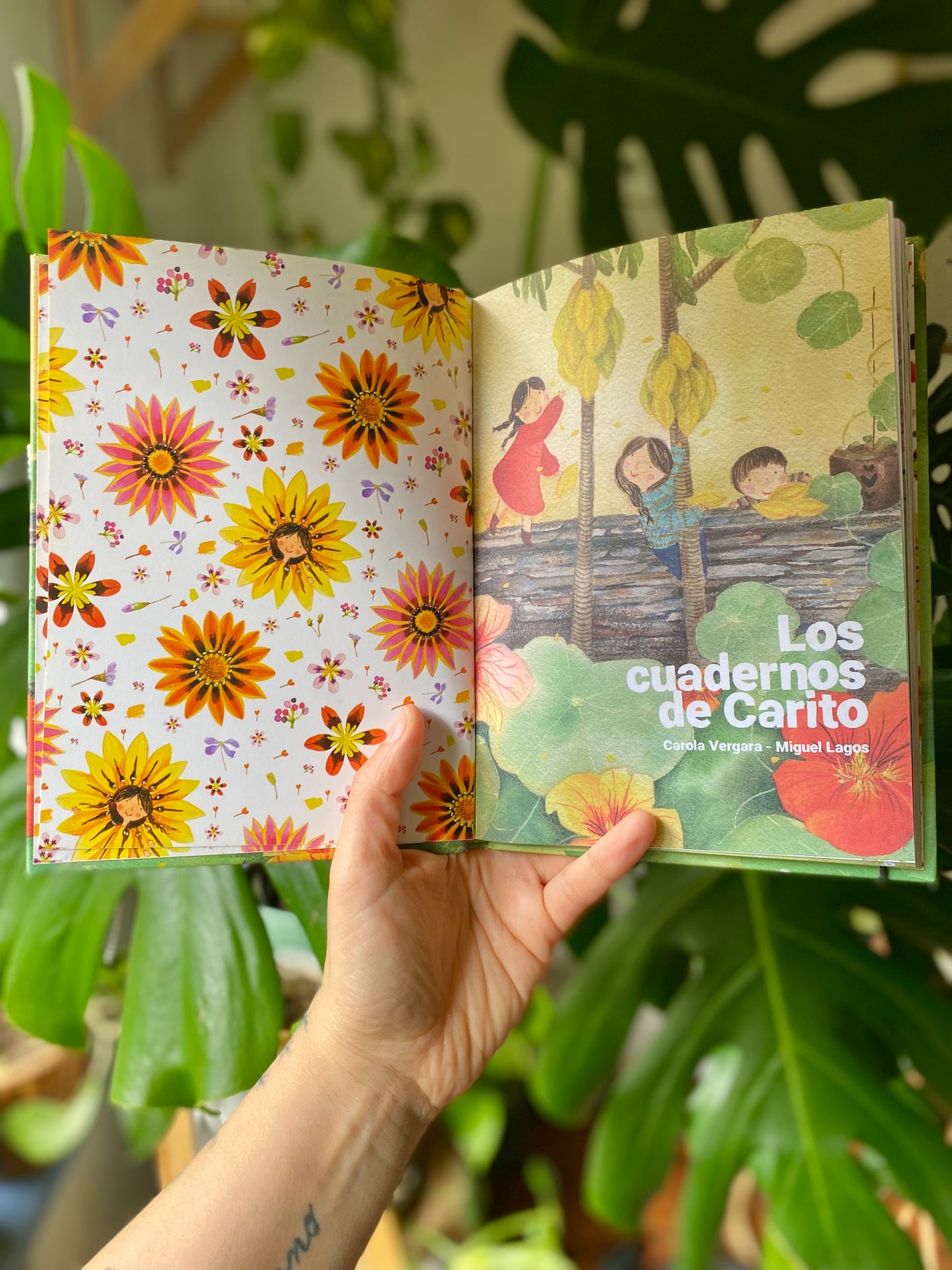 Libro Los Cuadernos de Carito